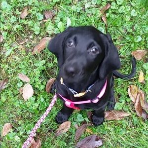 Meet your Posher, Ethan